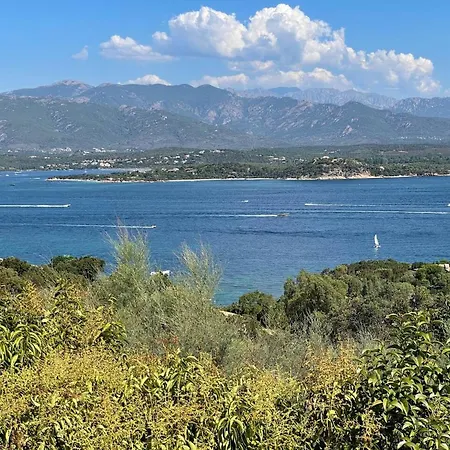 וילה Spacieuse A Porto-vecchio פורטו-וישיו